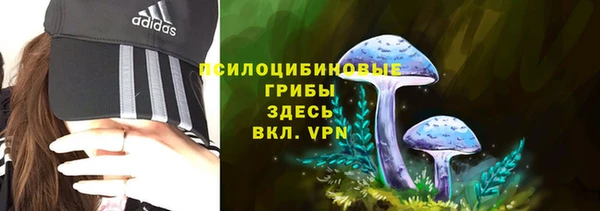 дурь Липки